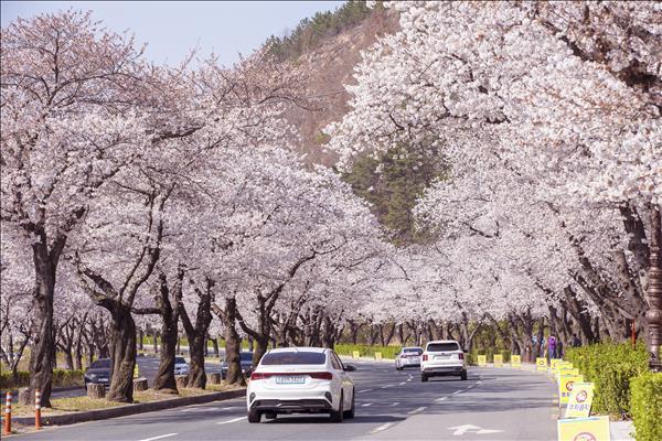 CHƯƠNG TRÌNH DU LỊCH  AMAZING KOREA:   HÀ NỘI – SEOUL – TRƯỢT TUYẾT – LOTTE WORLD- HANOI 5 NGÀY 4 ĐÊM